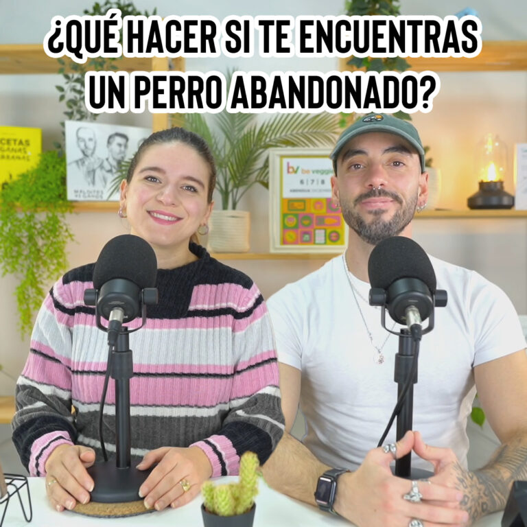 ¿Qué hacer si te encuentras un perro abandonado? La historia de Pongo